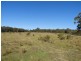 684 Carrick Road, Carrick NSW 2580