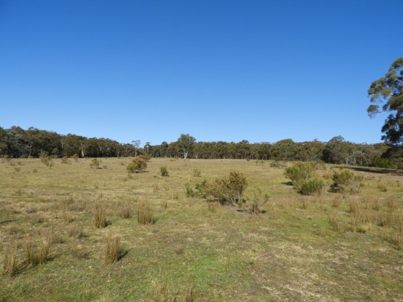 684 Carrick Road, Carrick NSW 2580