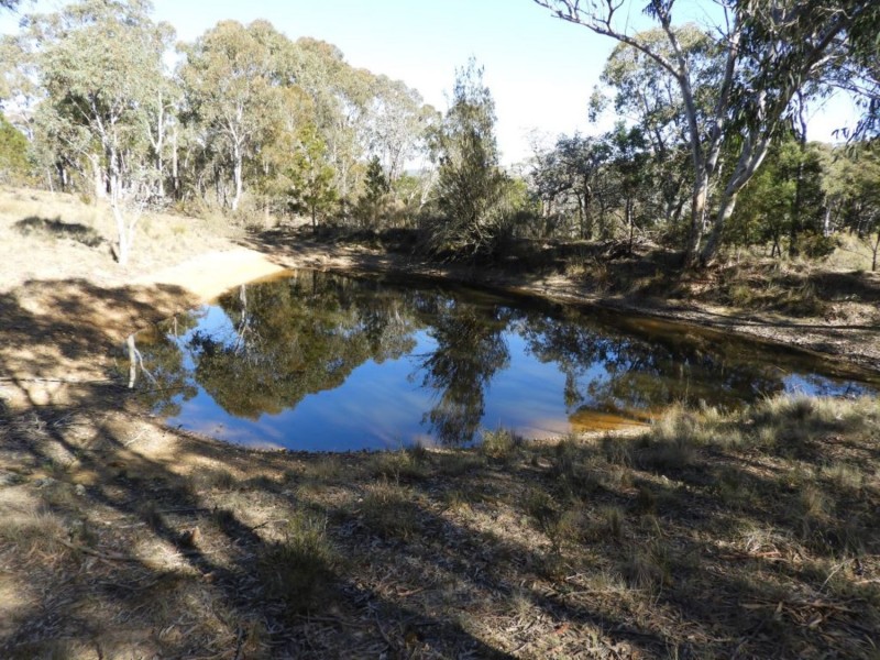 684 Carrick Road, Carrick NSW 2580
