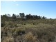 684 Carrick Road, Carrick NSW 2580