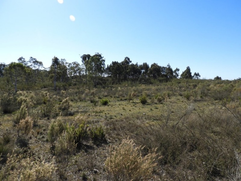 684 Carrick Road, Carrick NSW 2580