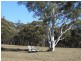 684 Carrick Road, Carrick NSW 2580