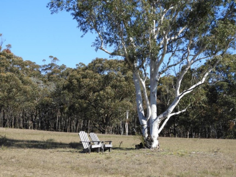 684 Carrick Road, Carrick NSW 2580