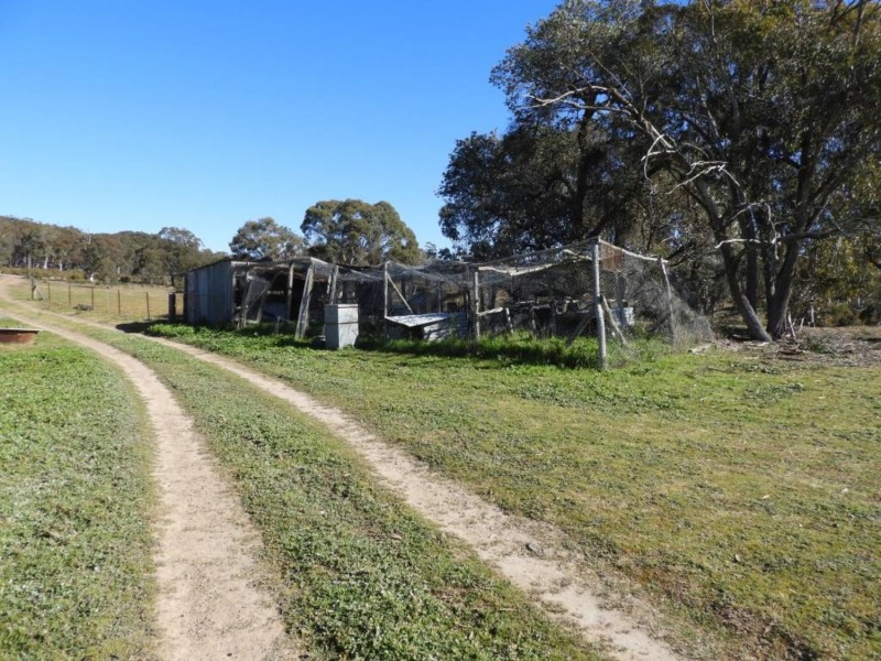 684 Carrick Road, Carrick NSW 2580