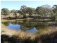 684 Carrick Road, Carrick NSW 2580