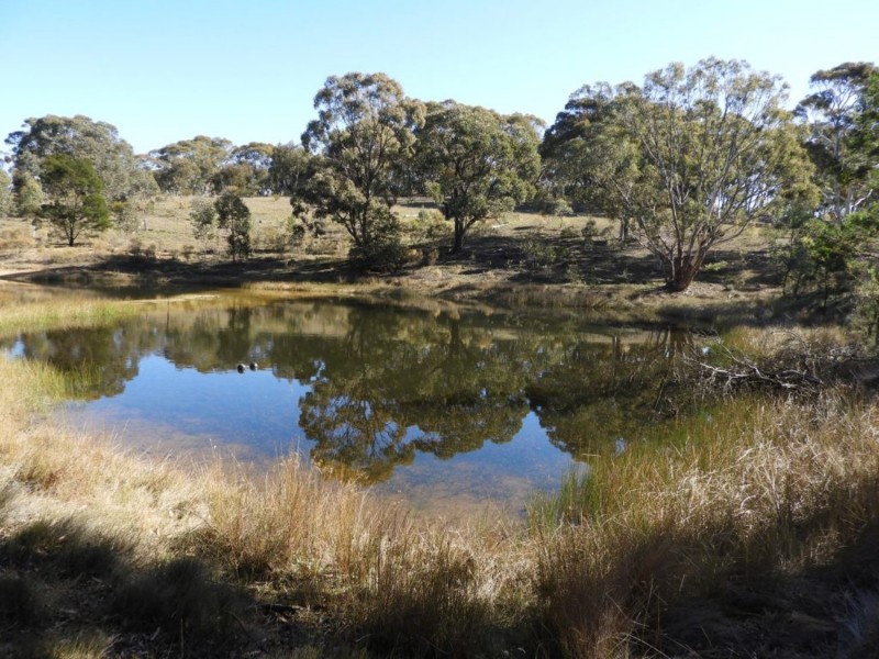 684 Carrick Road, Carrick NSW 2580