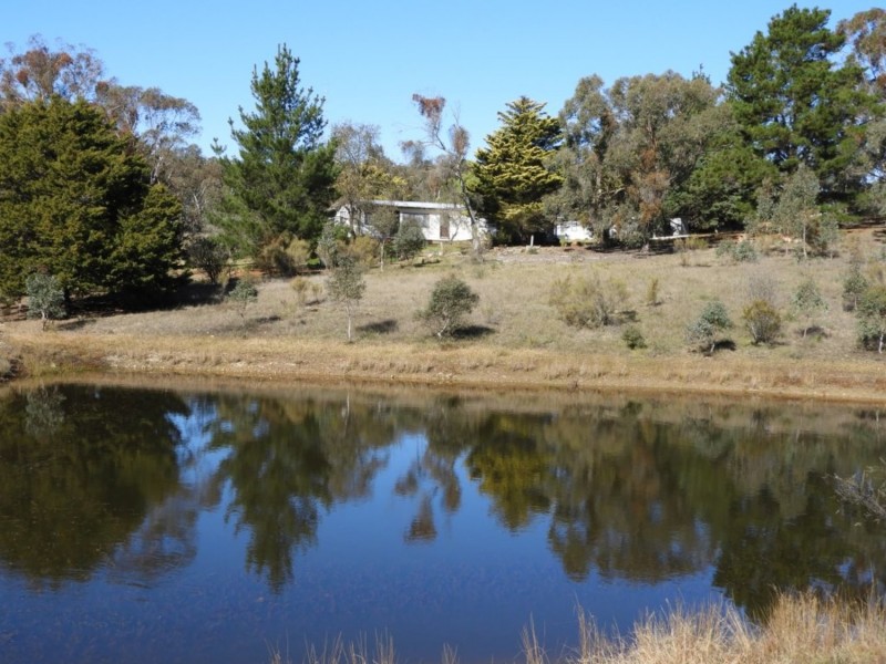684 Carrick Road, Carrick NSW 2580