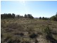 684 Carrick Road, Carrick NSW 2580