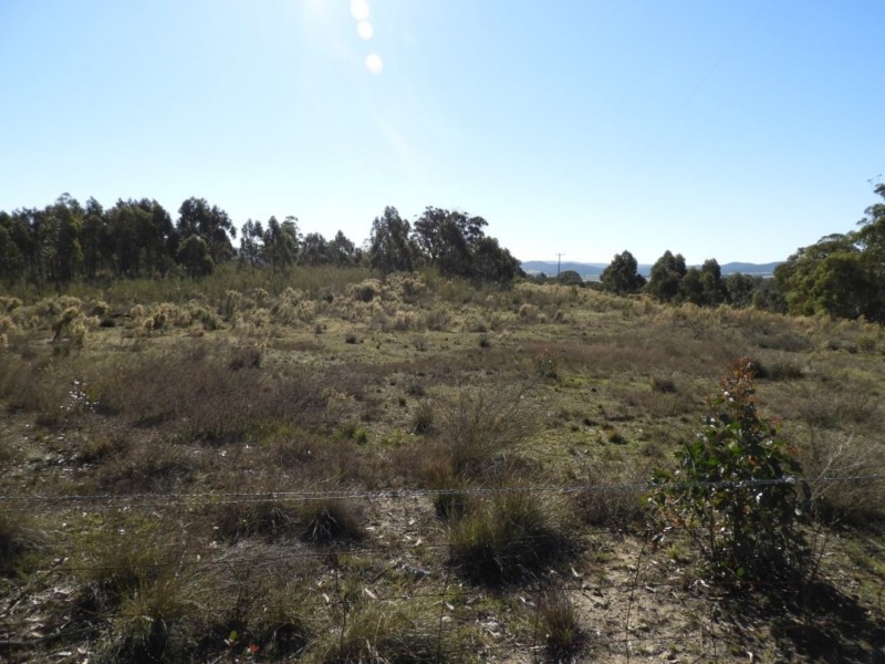 684 Carrick Road, Carrick NSW 2580