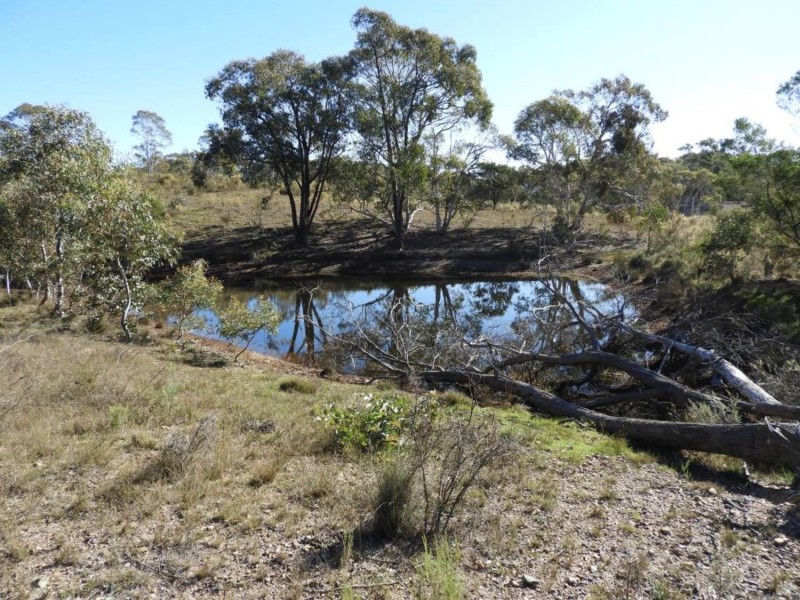 684 Carrick Road, Carrick NSW 2580