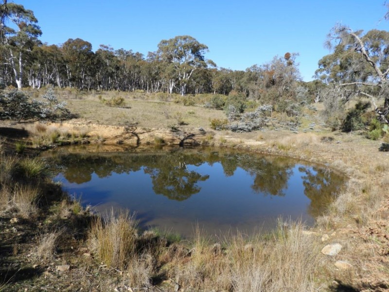 684 Carrick Road, Carrick NSW 2580