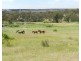 Lot 4 2337 Range Rd, Goulburn NSW 2580