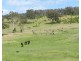 Lot 4 2337 Range Rd, Goulburn NSW 2580