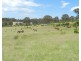 Lot 4 2337 Range Rd, Goulburn NSW 2580