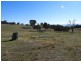 1222 Greenmantle Road, Bigga NSW 2583