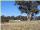 1222 Greenmantle Road, Bigga NSW 2583