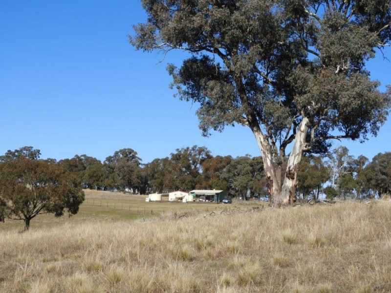 1222 Greenmantle Road, Bigga NSW 2583