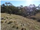 1222 Greenmantle Road, Bigga NSW 2583