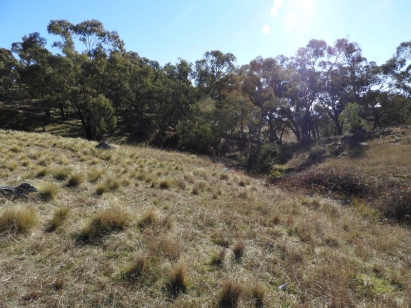 1222 Greenmantle Road, Bigga NSW 2583