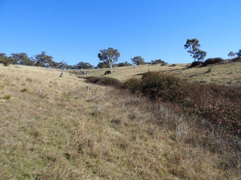 1222 Greenmantle Road, Bigga NSW 2583