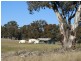 1222 Greenmantle Road, Bigga NSW 2583