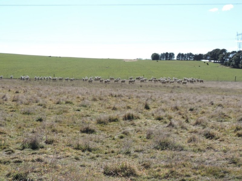 654 Wollogorang Road, Parkesbourne NSW 2580