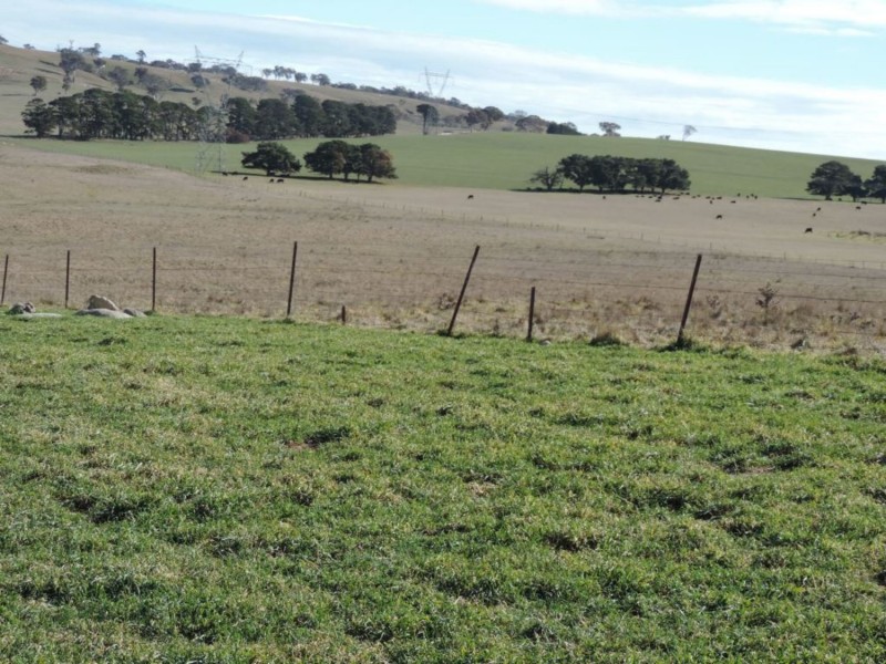 654 Wollogorang Road, Parkesbourne NSW 2580