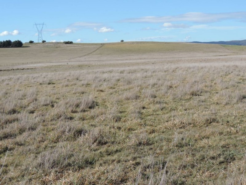 654 Wollogorang Road, Parkesbourne NSW 2580