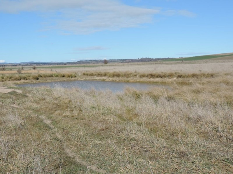 654 Wollogorang Road, Parkesbourne NSW 2580