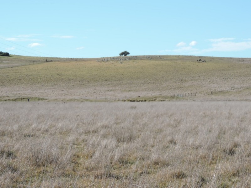 654 Wollogorang Road, Parkesbourne NSW 2580