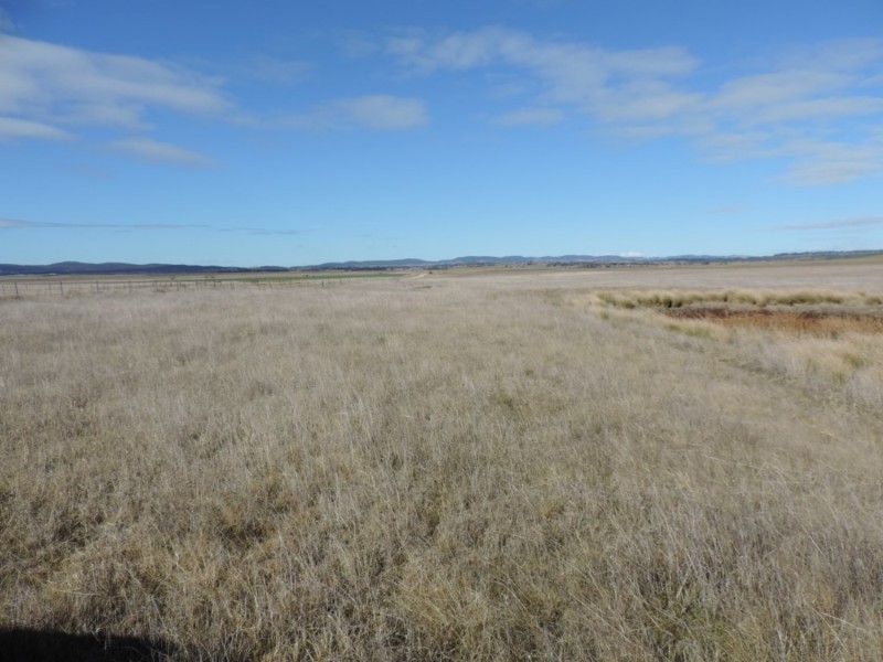 654 Wollogorang Road, Parkesbourne NSW 2580