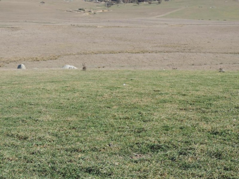 654 Wollogorang Road, Parkesbourne NSW 2580