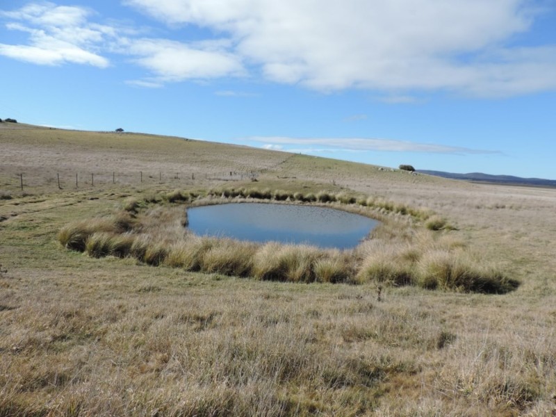 654 Wollogorang Road, Parkesbourne NSW 2580