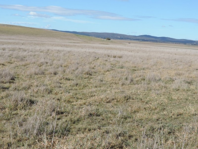 654 Wollogorang Road, Parkesbourne NSW 2580