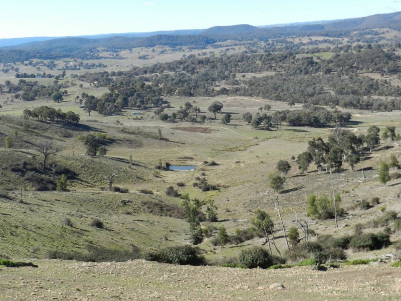 442 Cooksvale Road, Peelwood NSW 2583