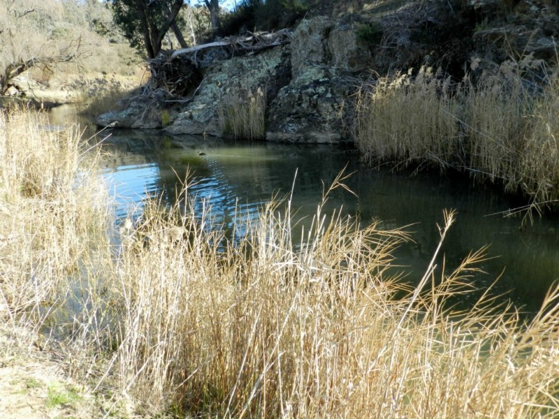 442 Cooksvale Road, Peelwood NSW 2583