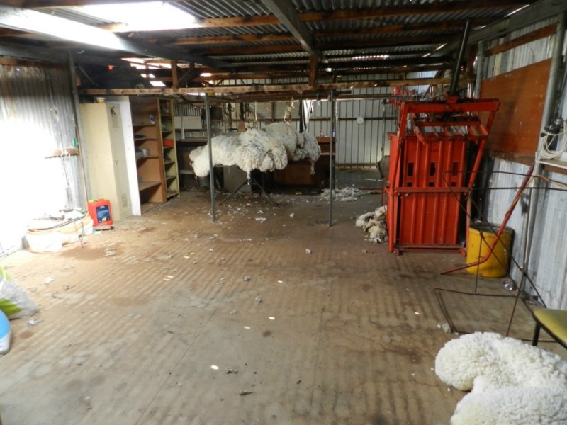 442 Cooksvale Road, Peelwood NSW 2583