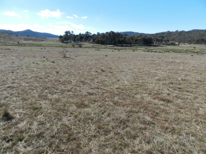 442 Cooksvale Road, Peelwood NSW 2583