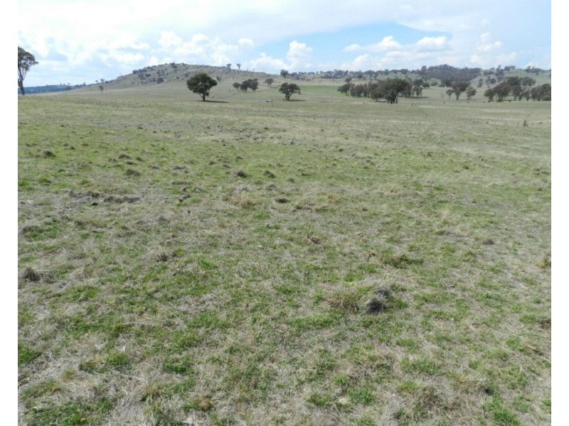 Lot 103 Off Boorowa Road, Crookwell NSW 2583