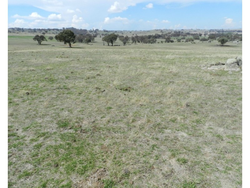 Lot 103 Off Boorowa Road, Crookwell NSW 2583