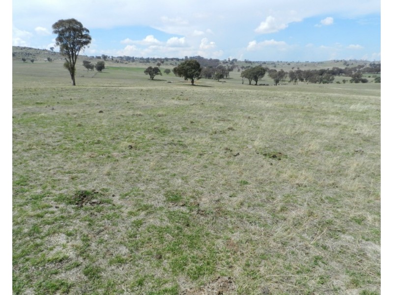 Lot 103 Off Boorowa Road, Crookwell NSW 2583