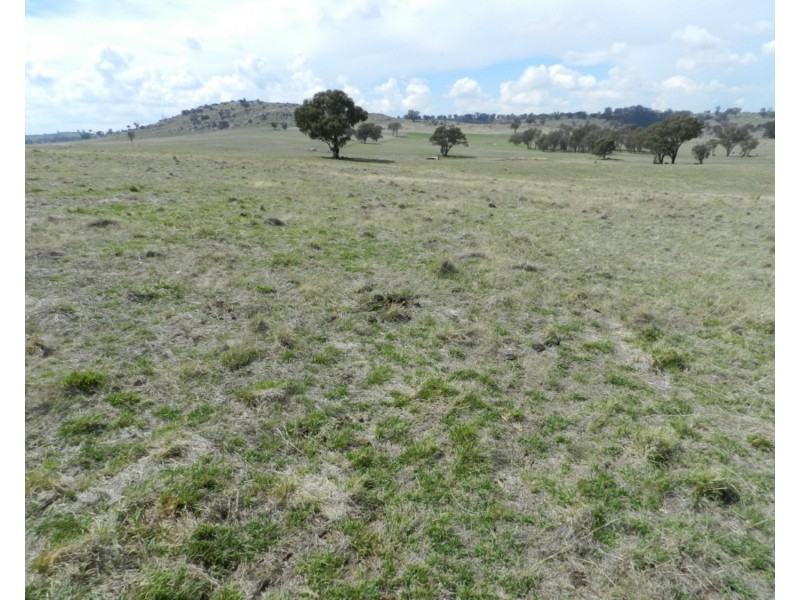 Lot 103 Off Boorowa Road, Crookwell NSW 2583