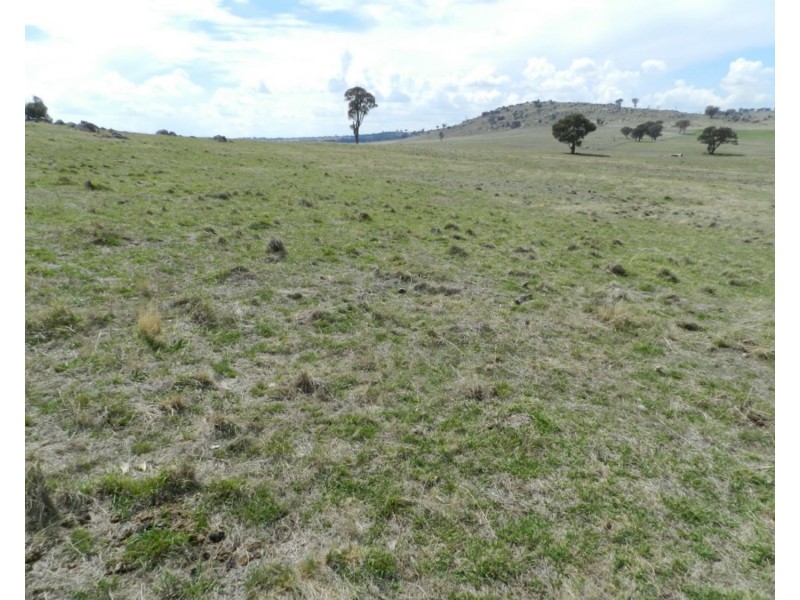 Lot 103 Off Boorowa Road, Crookwell NSW 2583