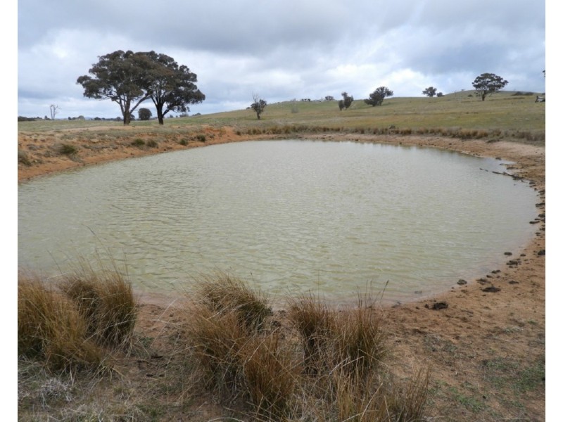 Lot 103 Off Boorowa Road, Crookwell NSW 2583