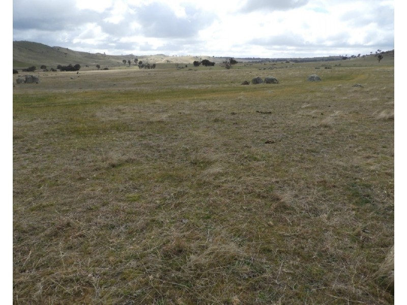 Lot 103 Off Boorowa Road, Crookwell NSW 2583