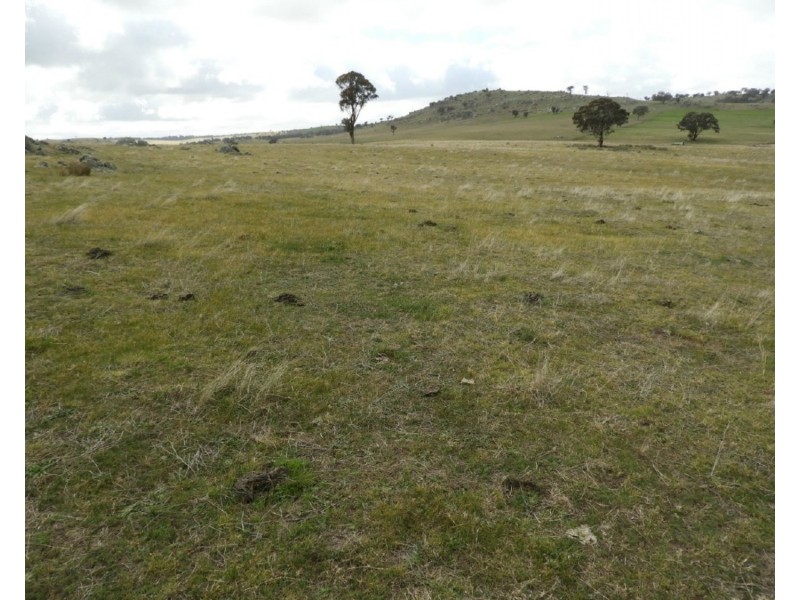 Lot 103 Off Boorowa Road, Crookwell NSW 2583