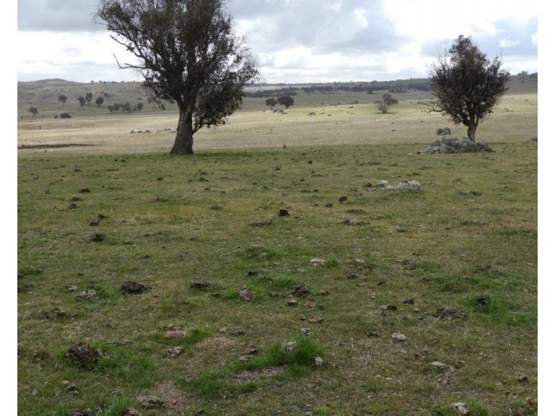 Lot 103 Off Boorowa Road, Crookwell NSW 2583