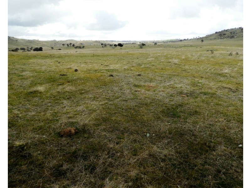 Lot 103 Off Boorowa Road, Crookwell NSW 2583