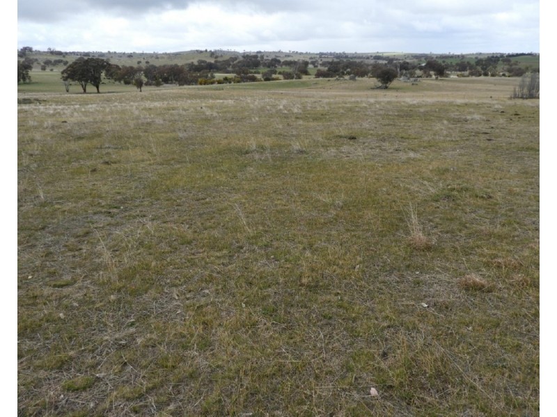 Lot 103 Off Boorowa Road, Crookwell NSW 2583