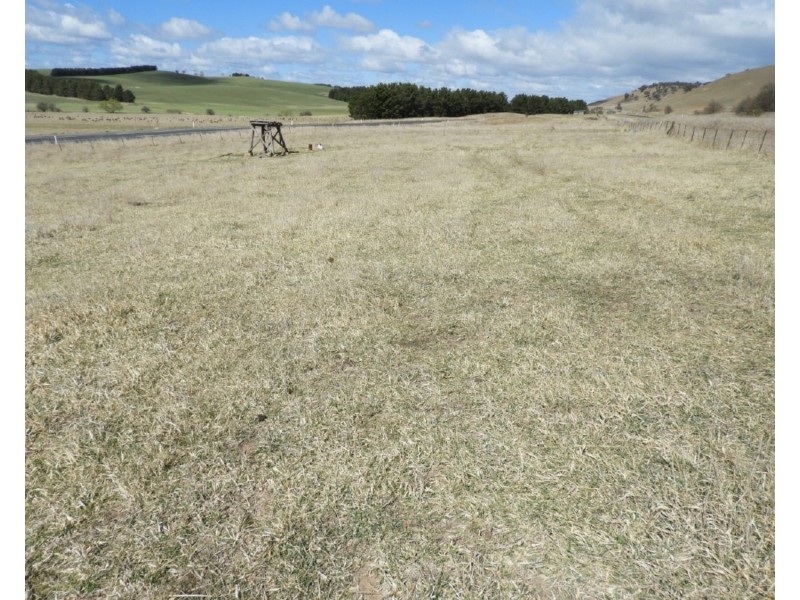 2619 Braidwood Road, Lake Bathurst NSW 2580